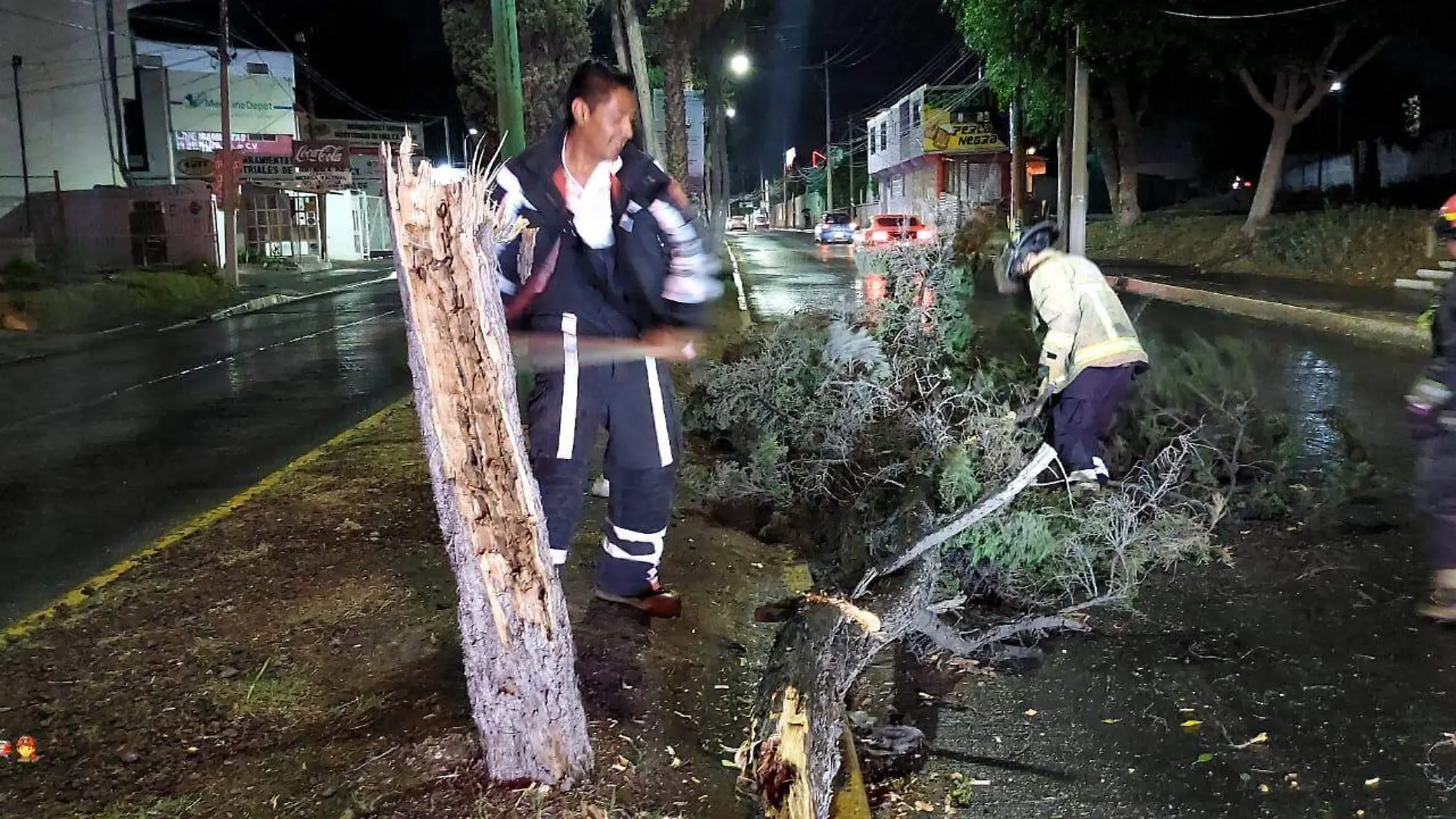 Cae arbol